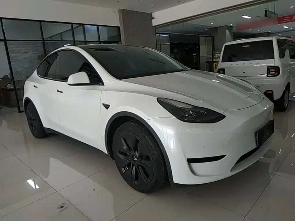 Tesla Model Y — фото 10