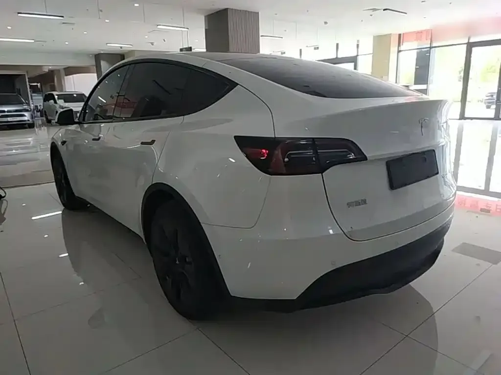 Tesla Model Y — фото 2