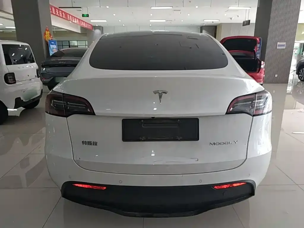 Tesla Model Y — фото 8
