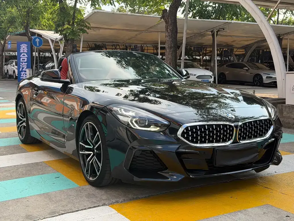 BMW Z4 — фото 10