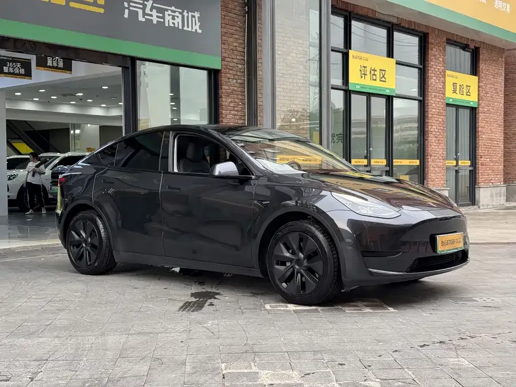 Tesla Model Y — фото 6