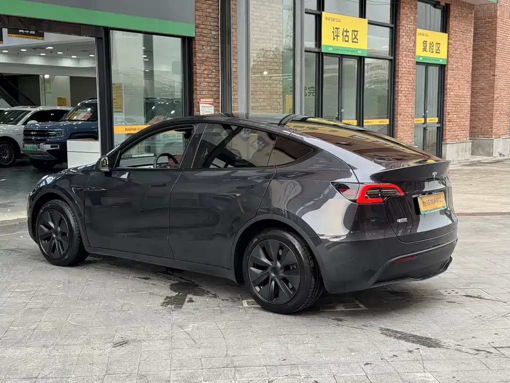 Tesla Model Y — фото 10