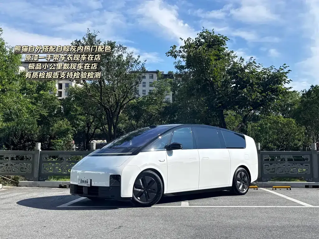 Li Auto MEGA — фото 1