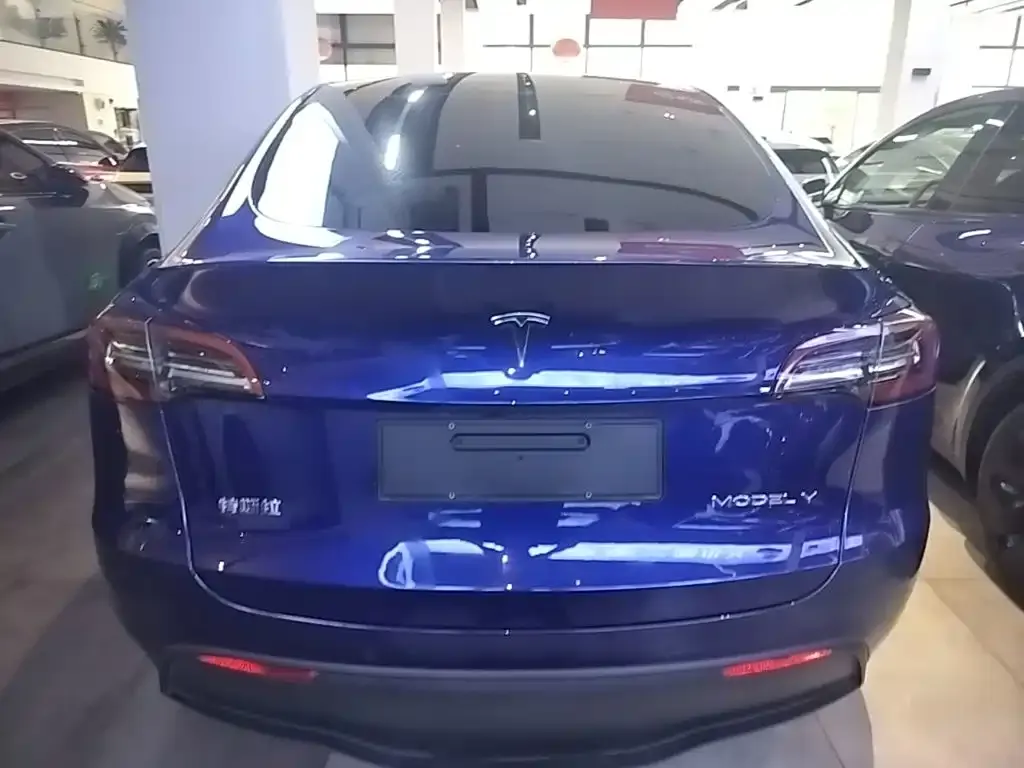 Tesla Model Y — фото 10