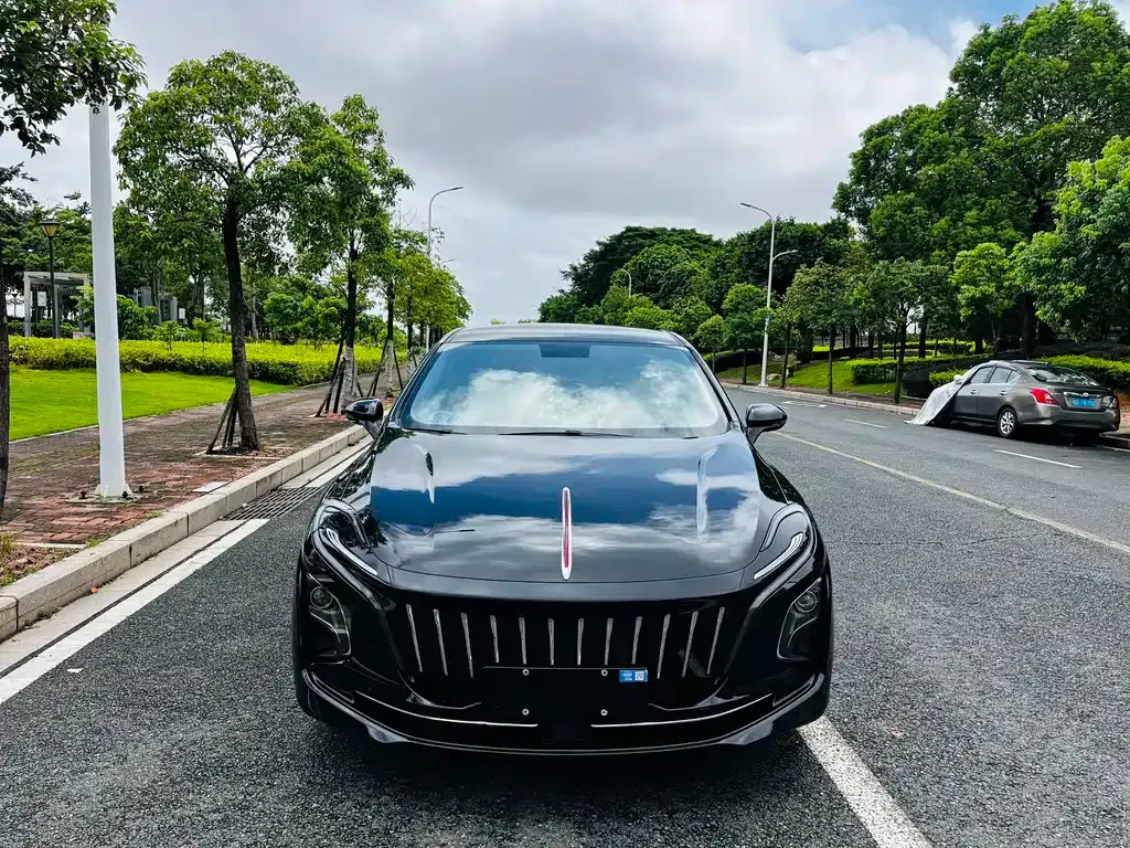 Hongqi E-QM5 — фото 10