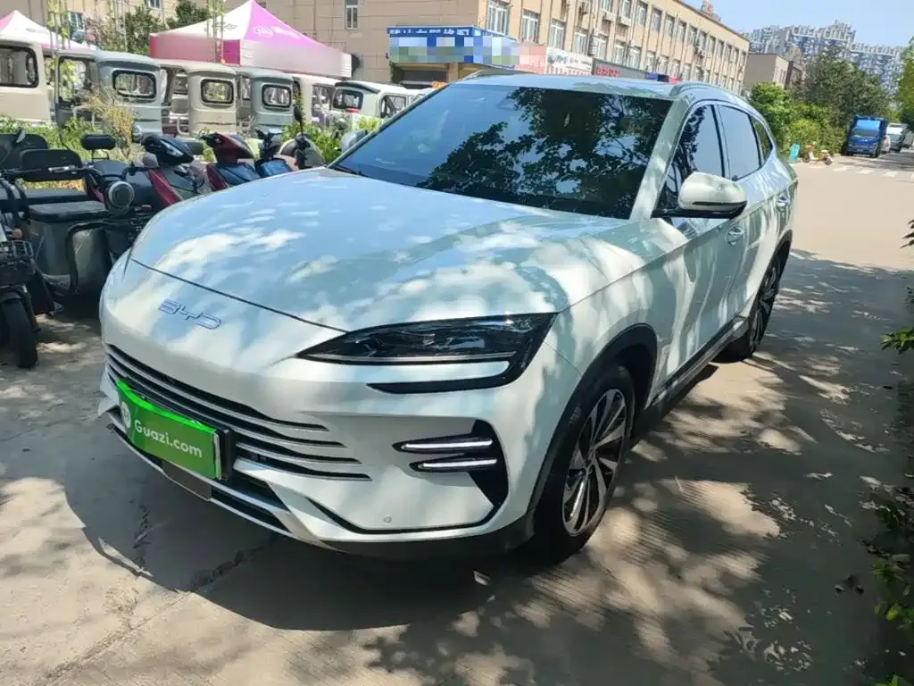 BYD PLUS New Energy — фото 9