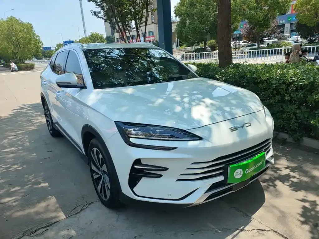 BYD PLUS New Energy — фото 8