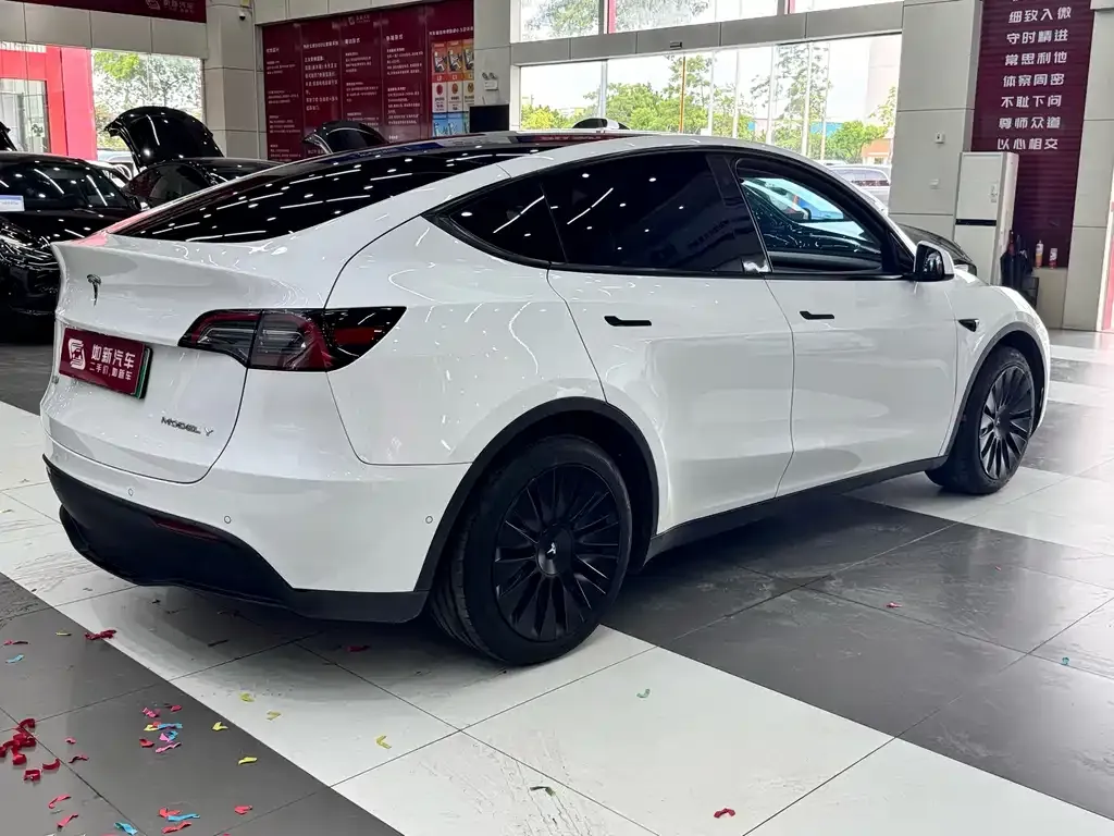 Tesla Model Y — фото 10