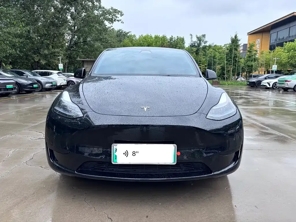 Tesla Model Y — фото 9