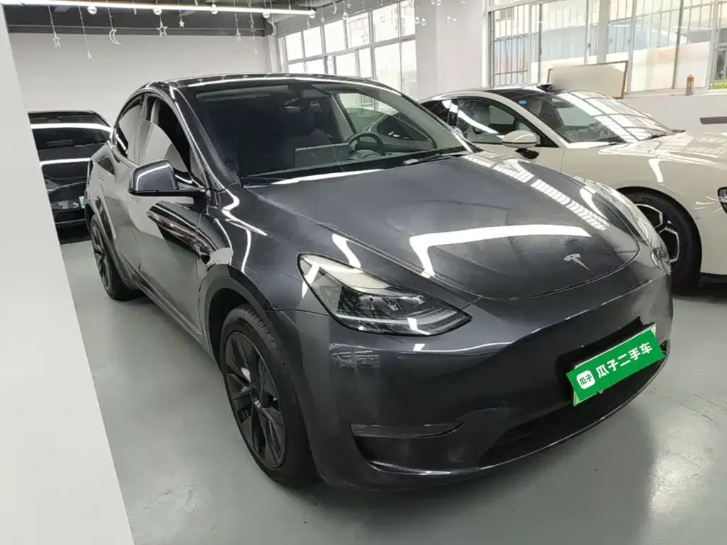 Tesla Model Y — фото 10