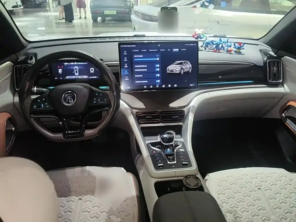 BYD Pro New Energy — фото 10