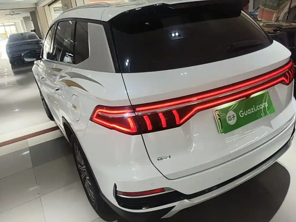 BYD Pro New Energy — фото 8
