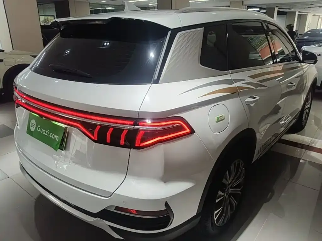 BYD Pro New Energy — фото 5