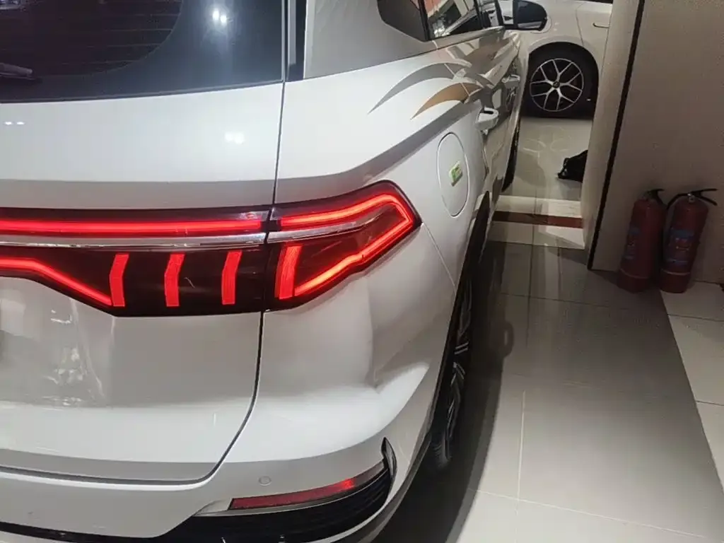 BYD Pro New Energy — фото 2