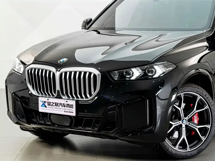 BMW X5 — фото 10