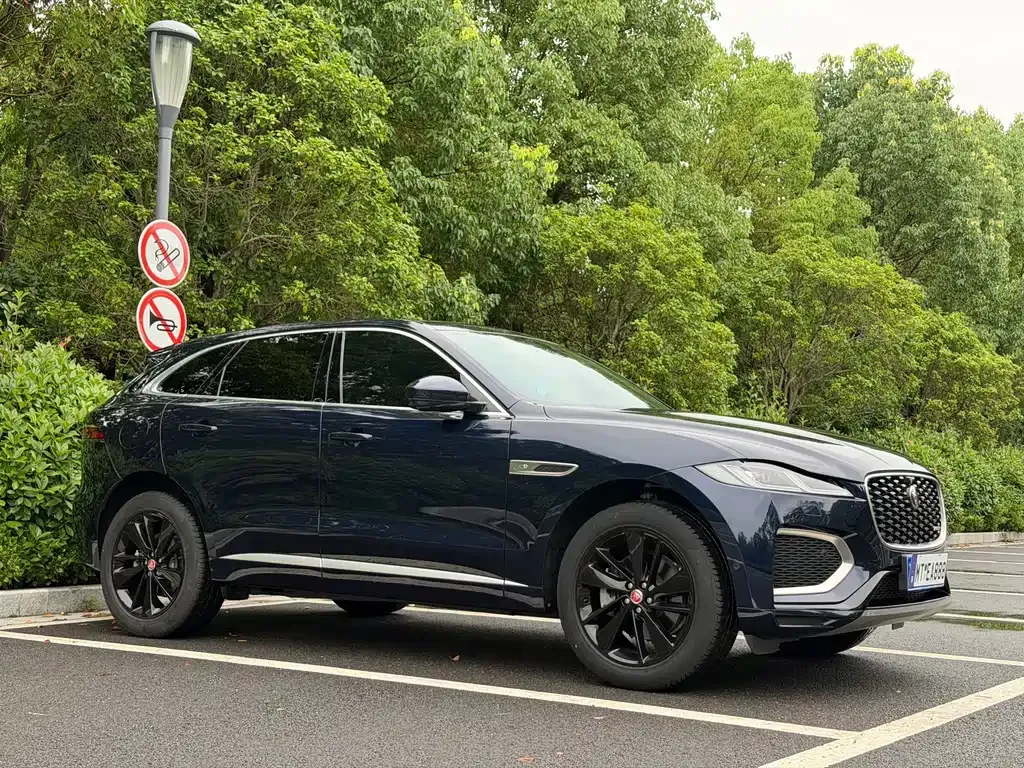 Jaguar F-PACE — фото 9
