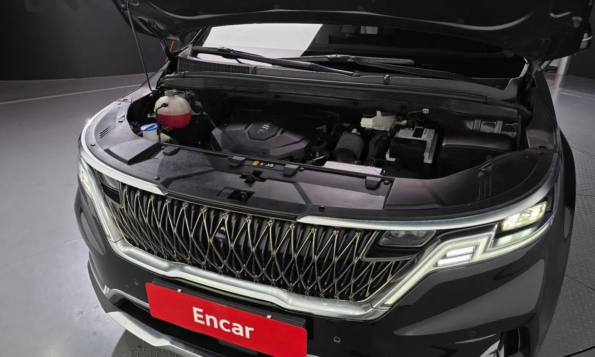 Kia Carnival — фото 10