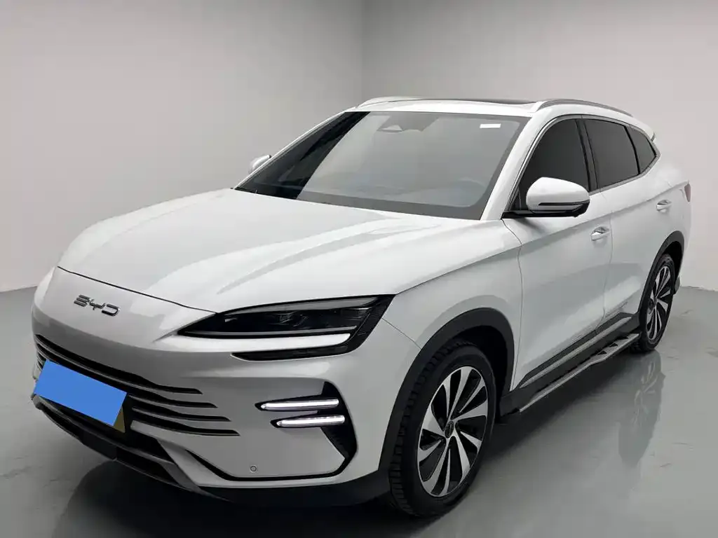 BYD PLUS New Energy — фото 1