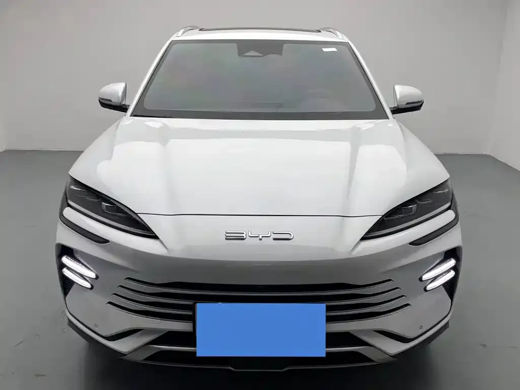 BYD PLUS New Energy — фото 7