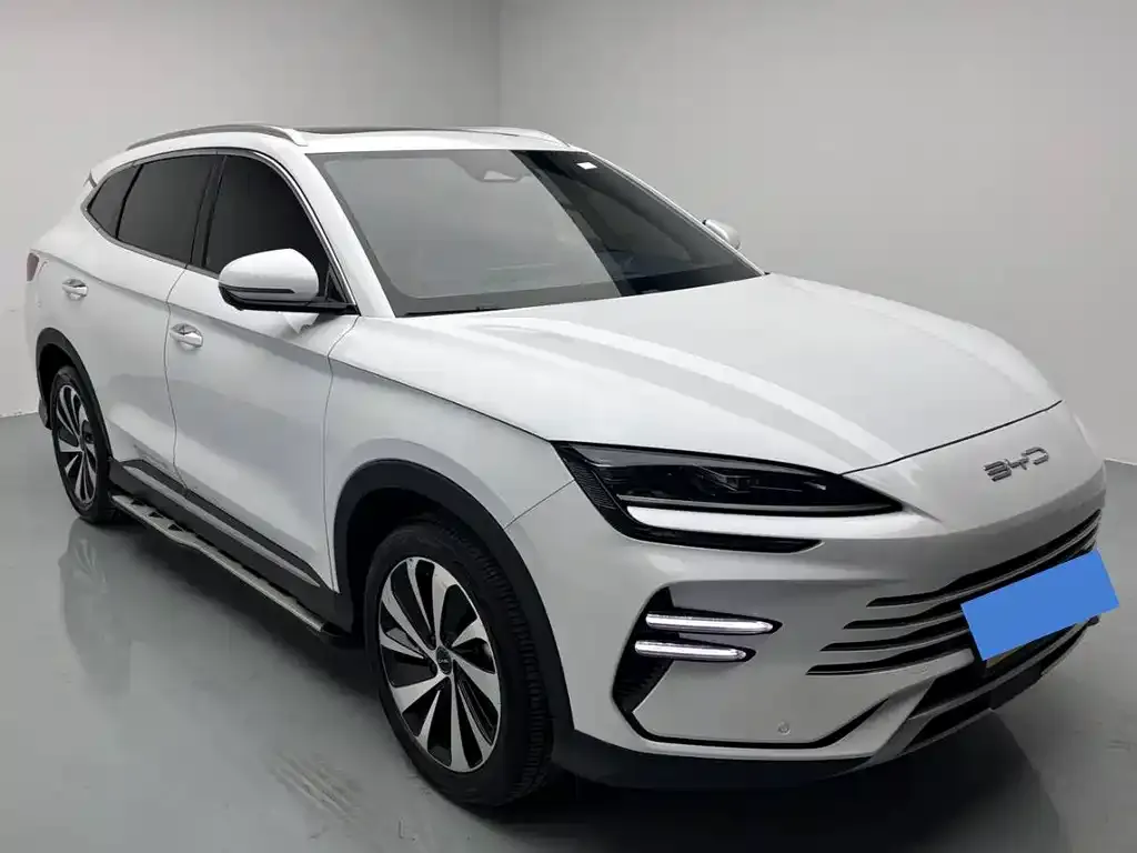 BYD PLUS New Energy — фото 4