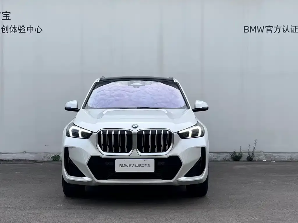 BMW X1 — фото 1