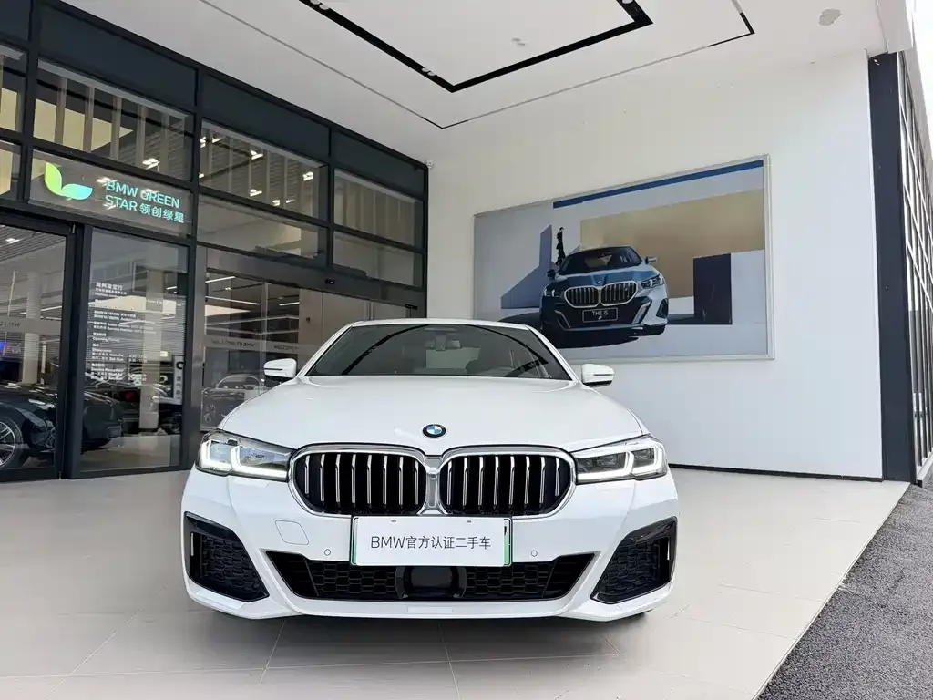 BMW 5 Series New Energy — фото 3