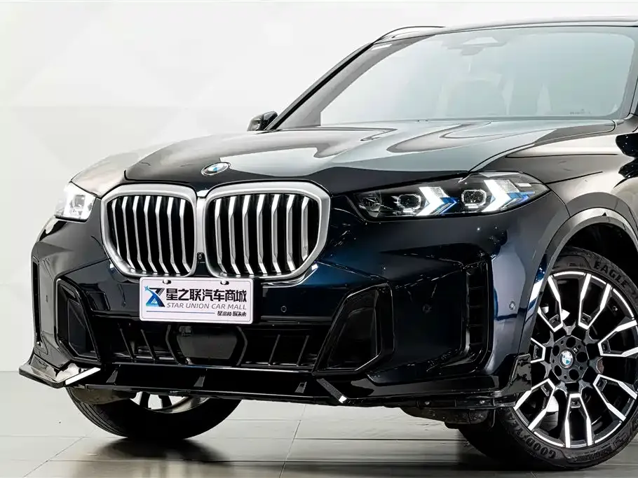 BMW X5 — фото 10