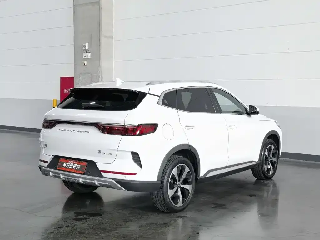 BYD PLUS New Energy — фото 8