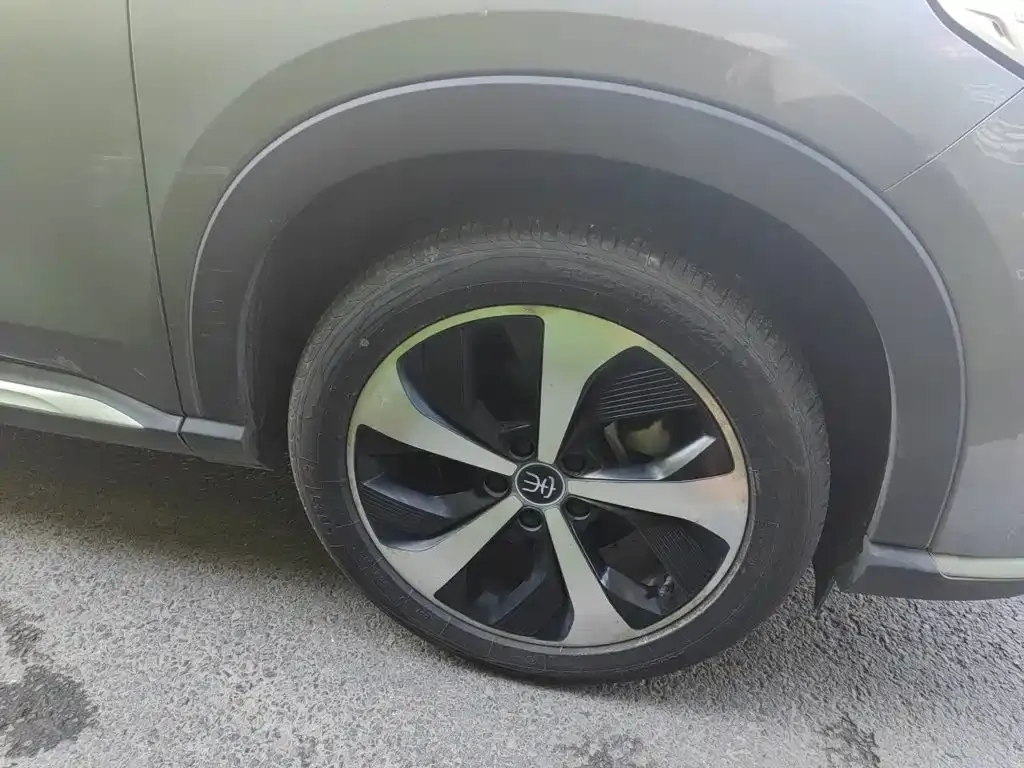 BYD PLUS New Energy — фото 8
