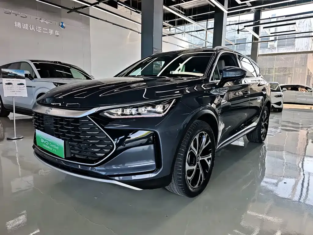 BYD Tang New Energy — фото 1