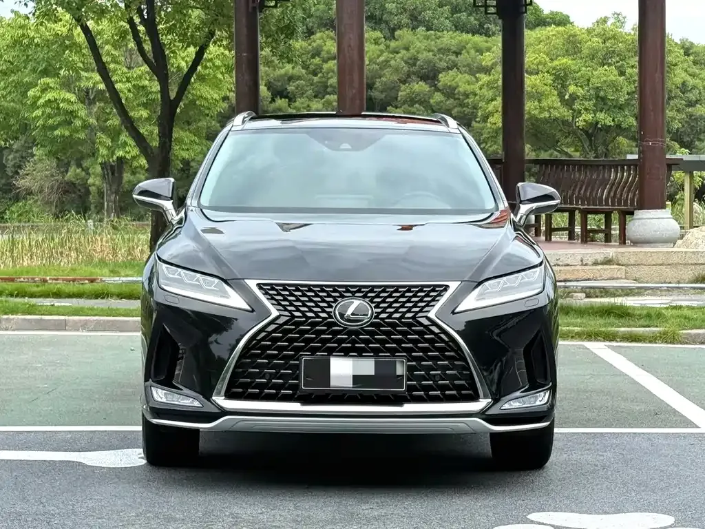 Lexus RX — фото 8