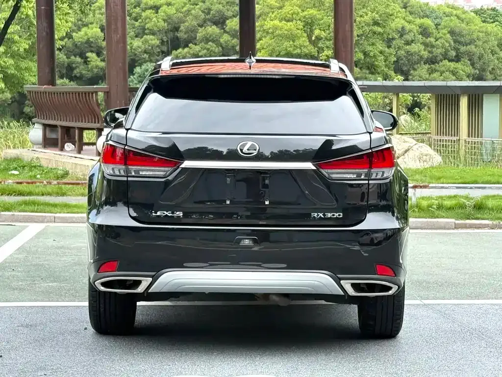Lexus RX — фото 7