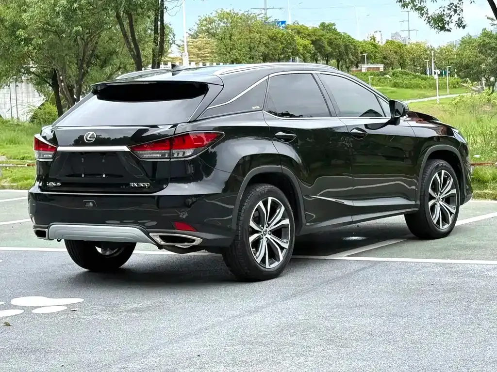 Lexus RX — фото 6