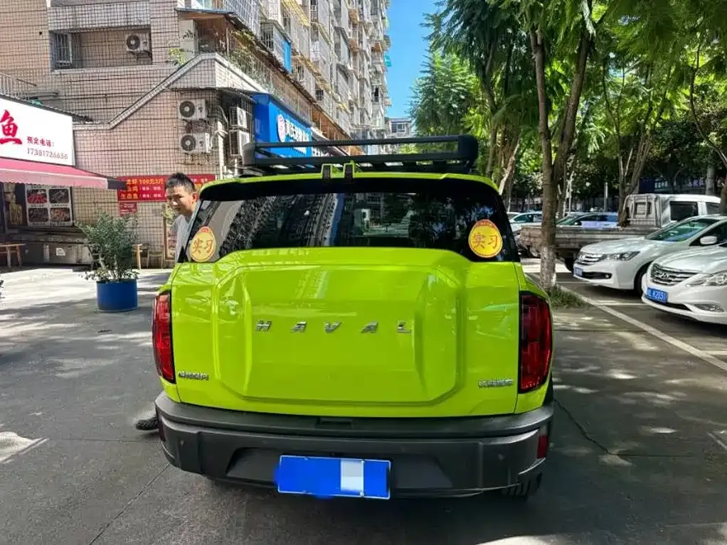 Haval Cool Dog — фото 8