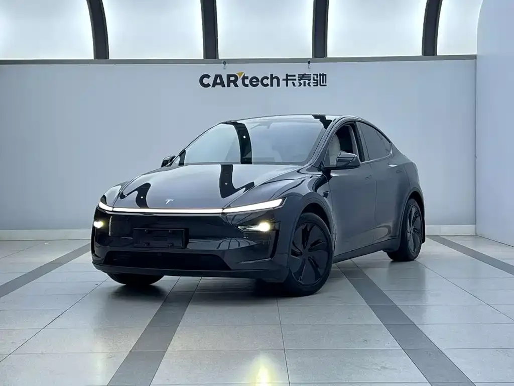 Tesla Model Y — фото 1