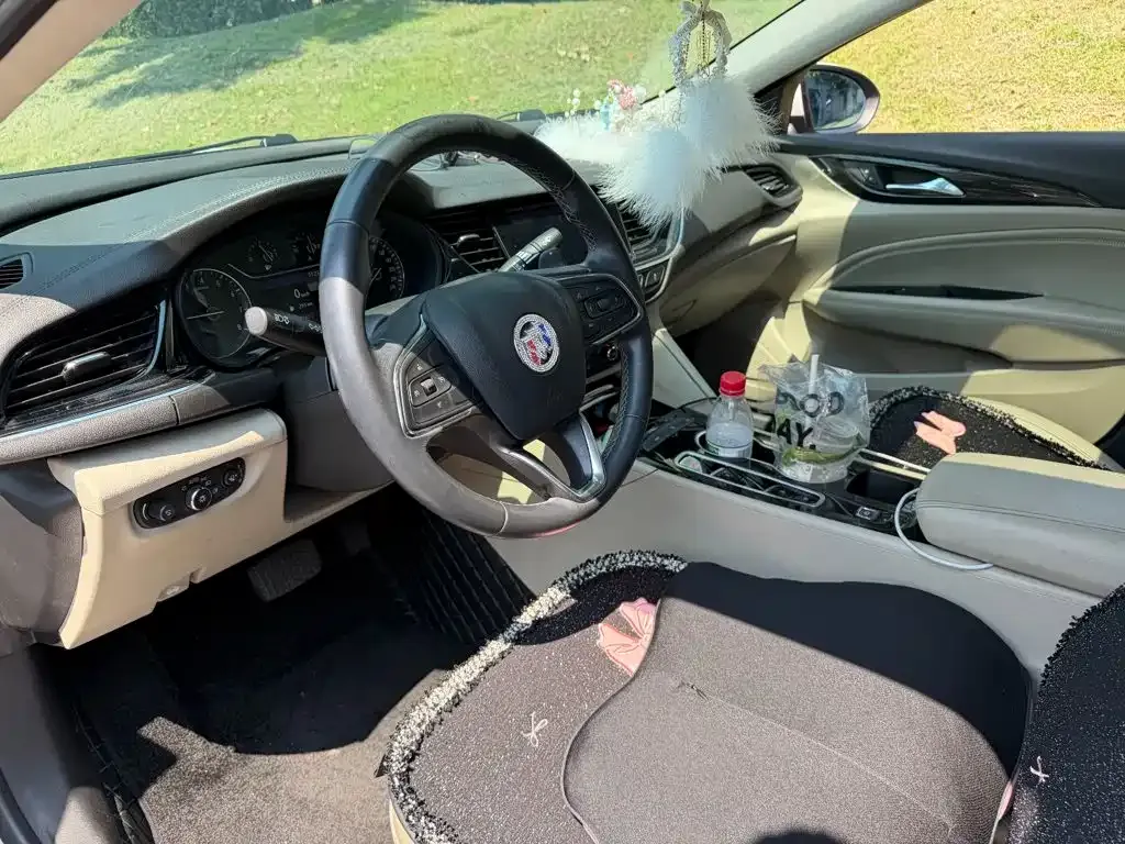 Buick Regal — фото 10