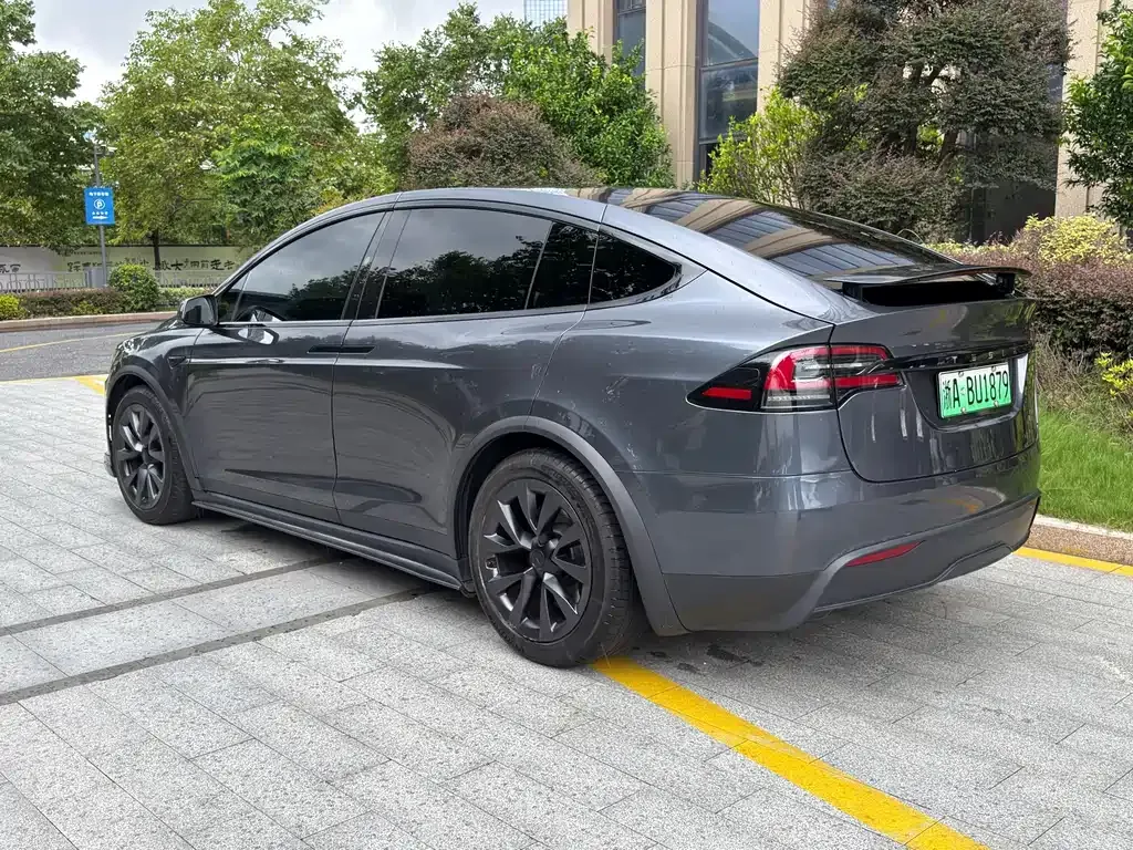 Tesla Model X — фото 10