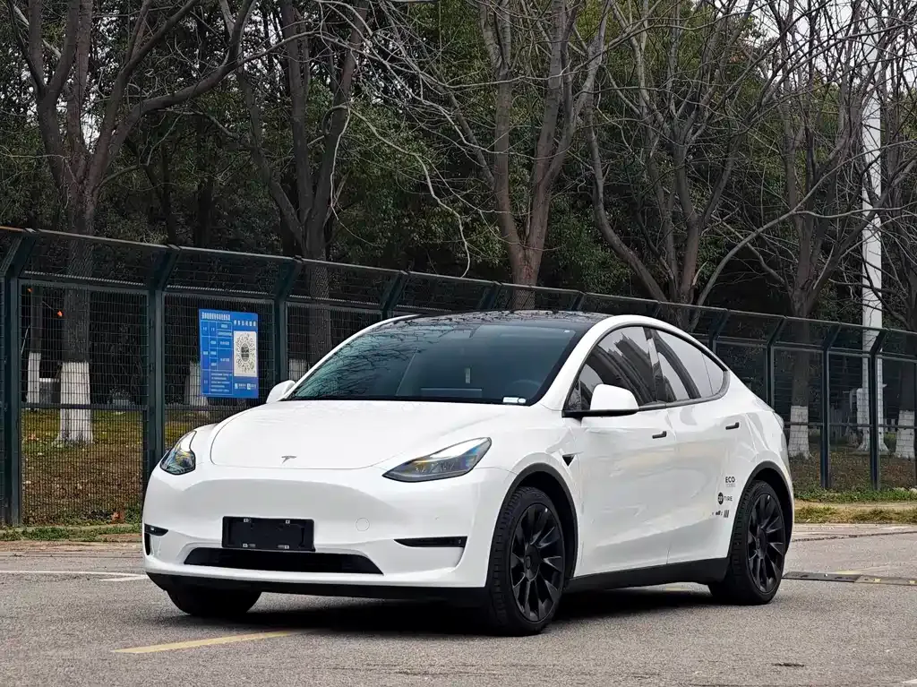 Tesla Model Y — фото 1