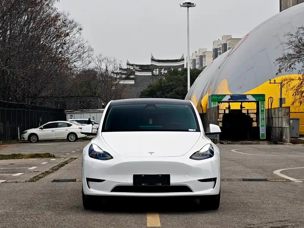 Tesla Model Y — фото 9