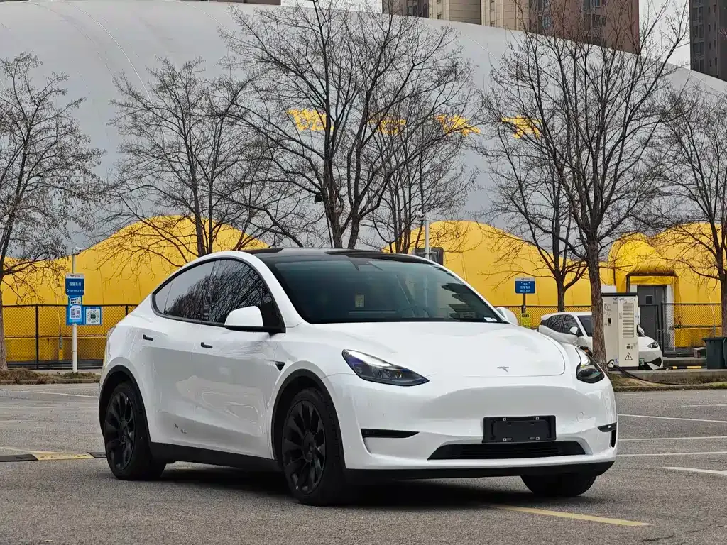 Tesla Model Y — фото 6