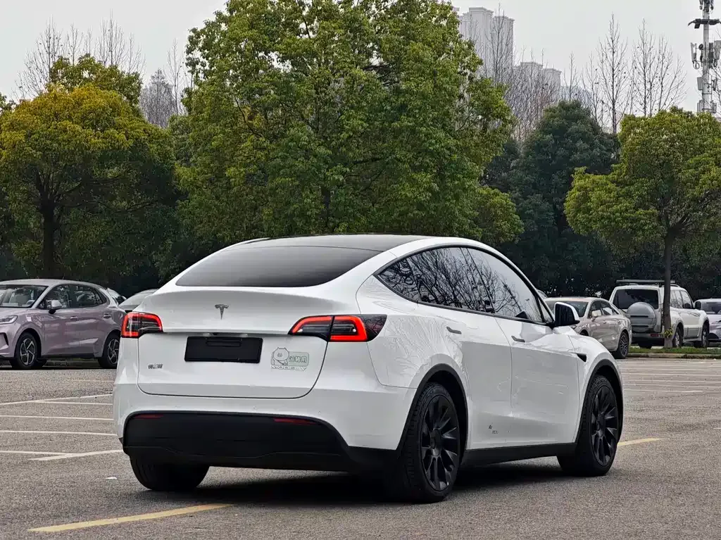 Tesla Model Y — фото 8