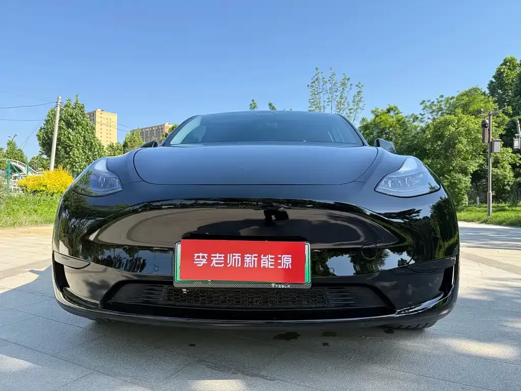 Tesla Model Y — фото 3