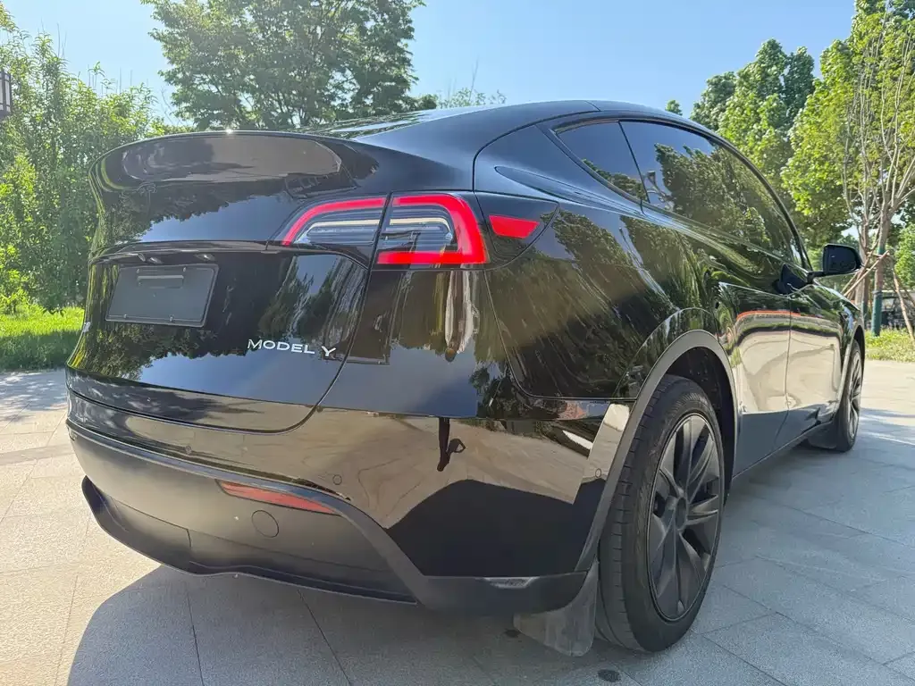 Tesla Model Y — фото 2