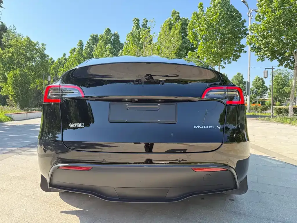 Tesla Model Y — фото 9