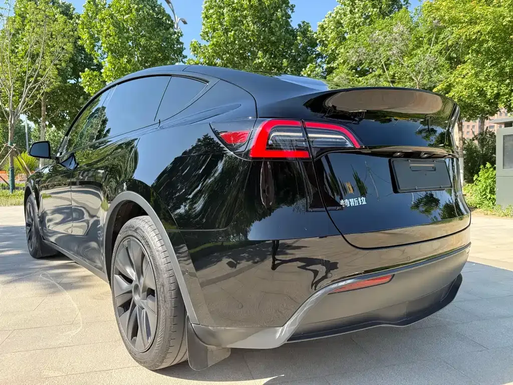 Tesla Model Y — фото 10