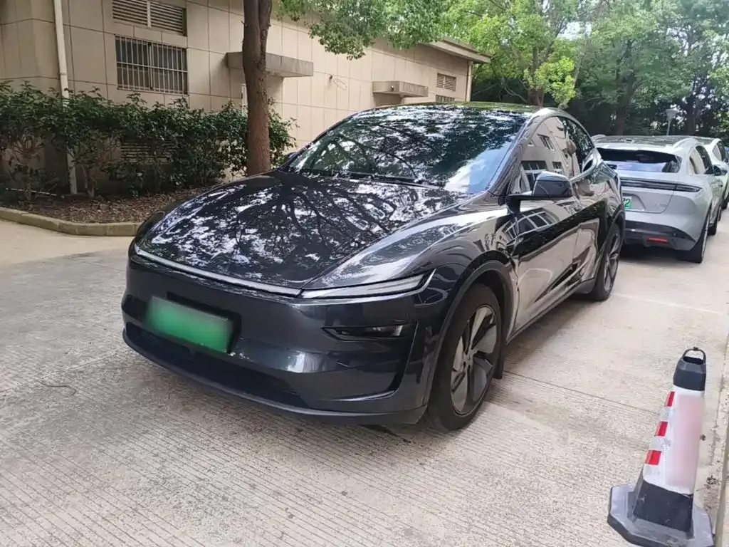 Tesla Model Y — фото 10