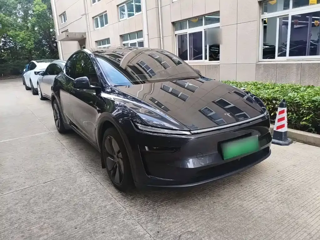 Tesla Model Y — фото 2