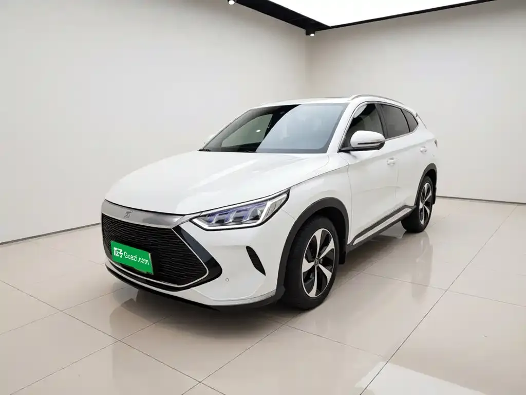 BYD PLUS New Energy — фото 1