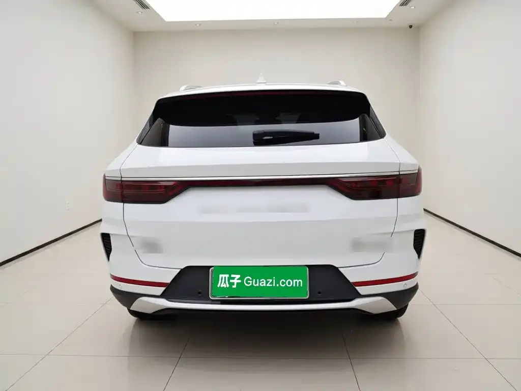 BYD PLUS New Energy — фото 3