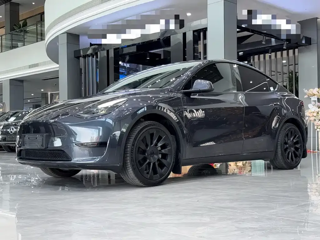 Tesla Model Y — фото 1